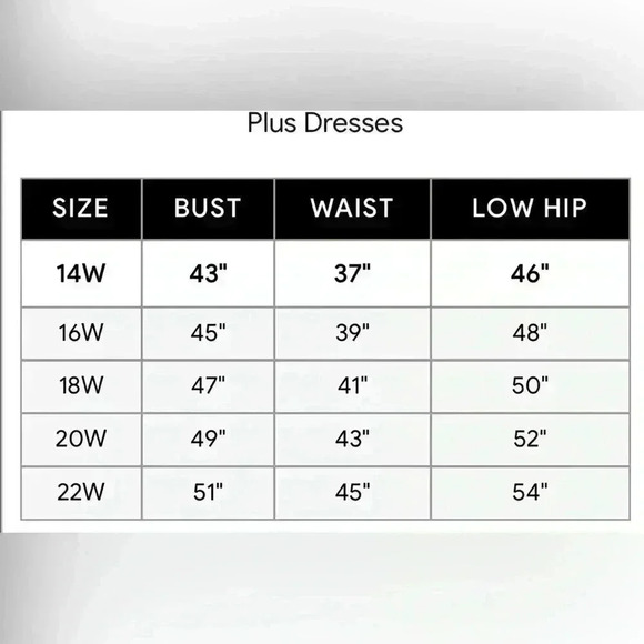 ALEX EVENINGS (mother of the bride) Trimmed Laced Sleeveless Dress Size 22W - Picture 13 of 13